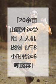 20余亩山蔬外运受阻 无人机极限飞行8小时转运6吨蔬菜